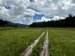 沼山峠からしばらく樹林帯の中の木道を登ります。
木道は濡れていると大変滑りやすいので注意が必要です。

樹林帯を抜けると大江湿原に出ます。