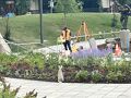 ダウンタウンにはたまにうさぎがいました