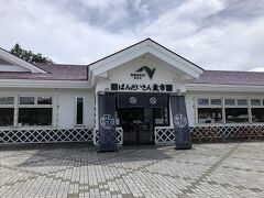 今回は東北から向かったので、旅の始まりは磐梯山SAで昼食休憩です。当初大内宿で名物のネギそばを食べてみようかと考えていましたが、時間も遅くなり到着が14時を超えそうだったので、途中で食べることにしました。