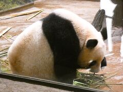 東京都恩賜上野動物園