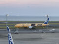 夕方に空港へ到着。国際線は普通は第3ターミナルです。でも、ANAのNH205は第二です。空港で時間を潰してたら、かっこいい飛行機に遭遇。