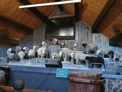 次は羊の毛刈りショーの牧場へ。羊オールスター