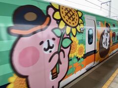 カナヘイラッピング新幹線
向日葵模様