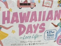 5月　ハワイアンデイズ　
東急田園都市線で南町田グランベリーパークへ
この路線は初めて乗ります
町田って昔ドラマであった「金曜日の妻たちへ」の舞台になった所ですかね？？

