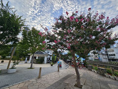 百日紅の向こうは、なわて通り。