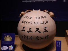 三尺玉は上空600mまで打ち上げられ、花火の大きさは直径薬650mにも広がるそうです。
スカイツリーのテッペンまで打ち上がるってことですね！