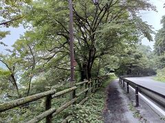 徒歩での移動