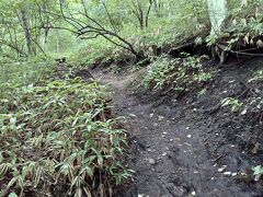 徒歩での移動