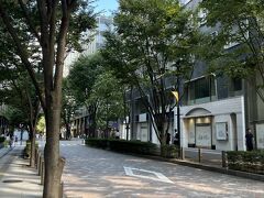 有名ブランドの路面店やレストラン、カフェなどが並ぶ丸の内仲通りをぶらぶら。