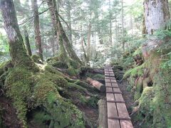 池の周りには40分ほどで一周できる遊歩道が設置されています。