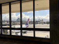 ホノルルつきましたー
機内から降りたのが8時55分くらい
今回はMPCで入国します
航空会社の人たちと同じレーンに並びました
写真も撮り終え、YouTubeで予習してた通りバッチリやったのになんか直前になってスマホに手が当たってしまい、なんか違う画面に！
秒で自分たちの番になり、こんな画面になってしまった‥と伝えると、よくわからんけど、パスポート見せて～、娘の指紋だけ取るよ～、何日いるの～？で終わりました

いつもの入国レーンもこの時間帯はたまたまかな？空いてました