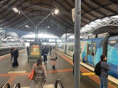 サザンクロス駅に移動し、郊外へ向かう電車に乗ります。
これから野生のカンガルーに会いにWesterfolds park へ行きます！
サザンクロス駅は大きな駅で、郊外へ向かう電車が多く発着しています。