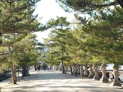 鳥居の前を通過し反対側に上がると、こちらにも西松原と言う素敵なお散歩道があります。