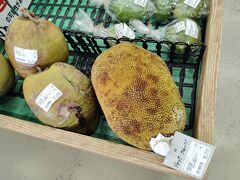 ゆらてぃく市場（ＪＡ）へ

パラミツとヤシの実