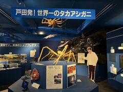 併設して駿河湾深海生物館があり
近海深海の色々な魚のホルマリン漬が数多く展示

