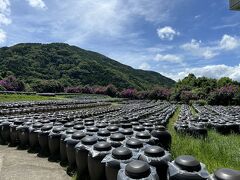 江戸時代後期から続く伝統製法で造られる「壺造り黒酢」が有名な福山町。