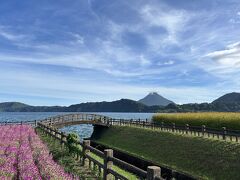 池田湖は、周囲15ｋｍ、最大水深233ｍ、九州最大のカルデラ湖です。今は話題にならないけど、「イッシー」で盛り上がったのは1978年のことだそうです。