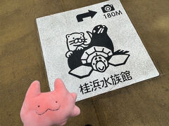 無事に友人たちも龍馬パスポートをゲット(１人は新規、もう１人は紛失したので再発行ｗ)これがあると色んな所で割引や特典が付くので高知旅には必須アイテム。

そんな無敵のパスポートを手に、桂浜にMy遊パスで向かいます。
またまた桂浜水族館に行くぞー！！
