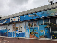 １４：４０
「シーライフ・シドニー水族館」に到着。
チケットは事前に購入していたので、スマホ画面を係の人に見せて入場。
AUD46.00