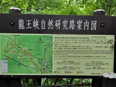 先ほどの「龍王峡ハイキングマップ」の3つ目の「白岩までのコース」と見どころがまとめてあります。
もっと手前の虹見橋までの往復にします。
売店のおじさんが親切で、「雨後の滑りやすい足元に注意して」「その杖を使って良いよ」と言ってくれました。