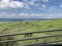 草千里
