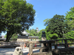 歩くことしばし高知城にやってきました。

高知城は山内一豊がたてた土佐藩の城で、現在の天守の建造は１８世紀、太平洋戦争の戦火をのがれ天守閣や御殿などが当時のまま現存するという歴史的価値の高いお城です。