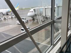 台風去った羽田空港