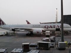 フランクフルト国際空港 (FRA)