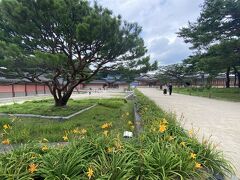 「昌徳宮」へ。