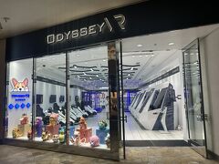 インタマにあるオデッセイのゲーセン？
奥にポケモングッズも売ってます
日本のやつだからここで買う必要はなし

このマリカーみたいなやつは一回60ドルだって、お父ちゃんが言ってました…
聞き間違いでなくて？？