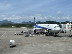 新石垣空港 (南ぬ島石垣空港)
