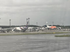 成田空港上空も天候悪くて、結構揺れましたが無事着陸。
今回はオレンジ色のホヌが見れました。