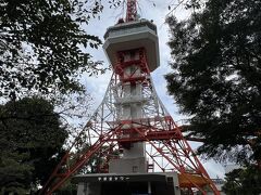 今度こそ宇都宮タワーに到着。
湿気でムシムシするし虫が追っかけてきてますがそんなの無視をしてさっさと入ってしまいましょう。
…ってこれ、東京タワーじゃないか？？？