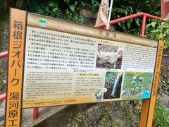 長男が嫁ちゃんに聞いた情報で観光したい所を色々提案！