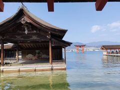 厳島神社に参拝です。