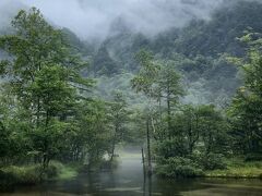 こちらも、朝靄が。
