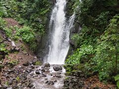 それほど大きくはないですが、うっそうとした緑に囲まれ、マイナスイオンたっぷりといった感じの滝でした。