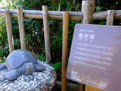 灯台の近くにある亀呼び場。