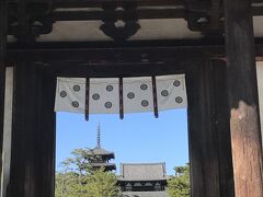 奈良といえば欠かせない修学旅行必見の寺
法隆寺に参る。
高校の修学旅行以来だと　友人ははしゃいでいた。
広大な敷地に　威厳のある門