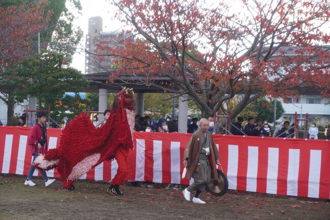 作品名： ・八代市妙見祭神宮華行列資料 ・八代城下町妙見祭り町