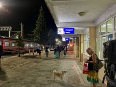 2:30  草木も眠る丑三つ時、トルコ側国境の駅、カプクレに到着。

今度は全ての荷物を持って車両から降ろされる。　でも X線検査はスーツケースのみ。ワシの荷物はもちろんドデカパックまで、背負っていれば全部ノーチェック！

密輸天国じゃあ～