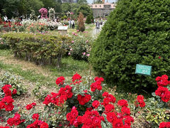サンクガーデンのバラ園。

市民の憩の場所です。