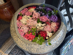 お店の前に置かれた花手水がとても素敵。色合いが可愛いぞー！(*´艸`*)