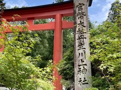 11:00
丹生川上神社下社
日本最古の水神様で雨乞いだけでなく縁結びの神様だそうです