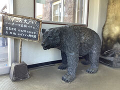 今日もやってまいりました
登別クマ牧場