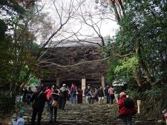 京都北郊の紅葉の名所、高雄の神護寺は、和気清麻呂が、建立した高雄山寺を起源とします。唐から帰国した空海が活動の拠点としたことから真言密教の出発点となりました。