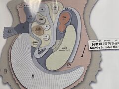 博物館は大人向けかな、と思っていましたが、
ところがどっこい。

姫たちも真剣に貝と真珠について学んでました。
