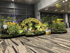 無事にチャンギ空港に到着！
荷物はスムーズに出てきましたので、タクシーでホテルに向かいます。
私の発音が悪く、運転手の方にホテル名を理解してもらえるのに手間取りました…ドンマイ、自分。