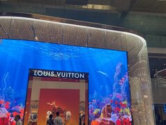 空港に戻ってきた。
Ｔ３のぎらぎらヴィトン。

我々の便はＴ２発なのに、なぜわざわざＴ３に来たかと言うと