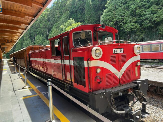 2024年9月台湾弾丸鉄道旅行4（阿里山森林鉄道）』阿里山周辺